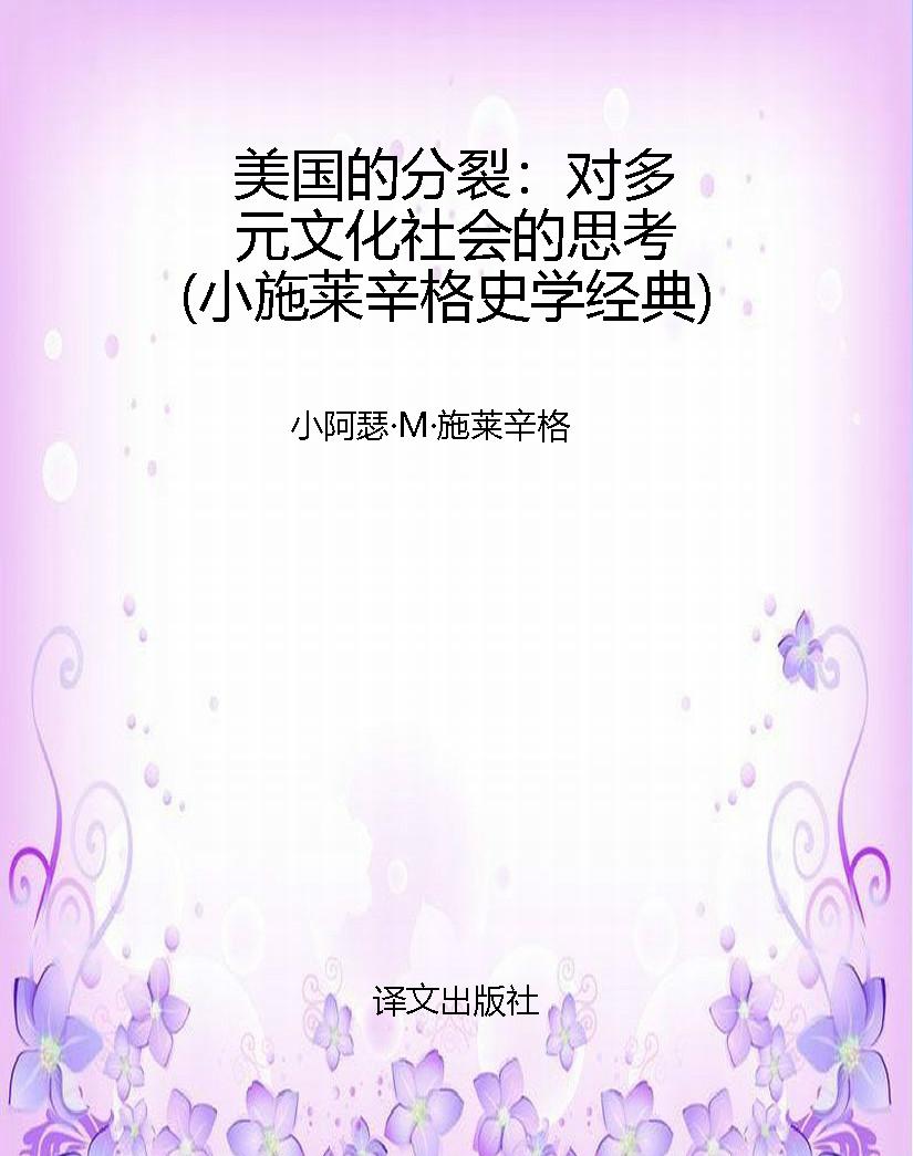 美国的分裂：对多元文化