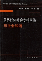 弱势群体社会支持网络