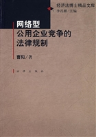 网络型公用企业竞争的