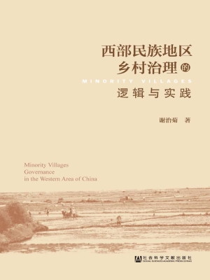 西部民族地区乡村治理