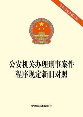 公安机关办理刑事案件