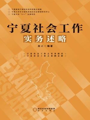 宁夏社会工作实务述略