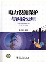 电力设施保护与纠纷处