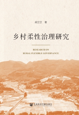 乡村柔性治理研究