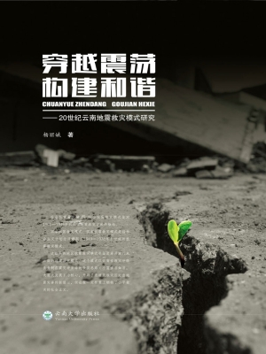 穿越震荡 构建和谐—