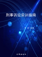 刑事诉讼实训指南