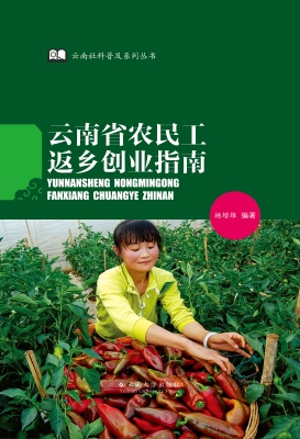 云南省农民工返乡创业