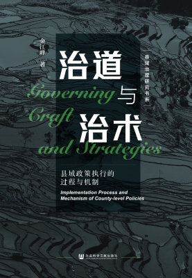 治道与治术：县域政策执