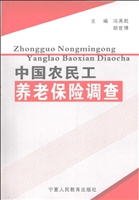 中国农民工养老保险调