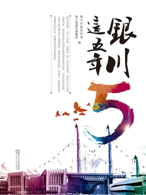 银川这五年