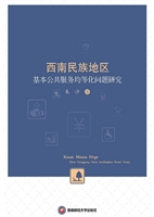 西南民族地区基本公共