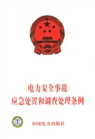 电力安全事故应急处置