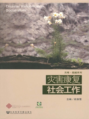 灾害康复社会工作