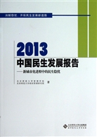 2013中国民生发展报告