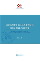 比较法视野下的民法典