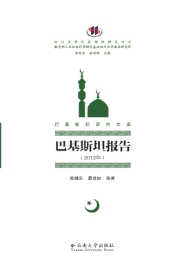 巴基斯坦报告（2012年）