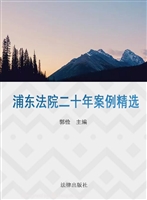 浦东法院二十年案例精