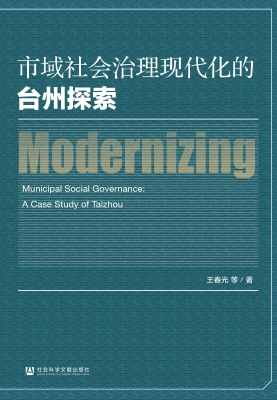 市域社会治理现代化的