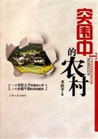 突围中的农村