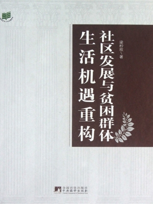 社区发展与贫困群体生
