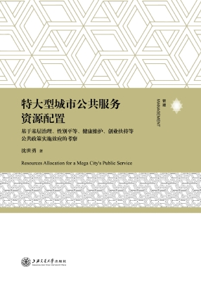 特大型城市公共服务资