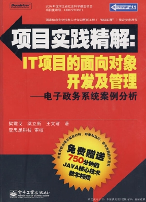 项目实践精解：IT项目的