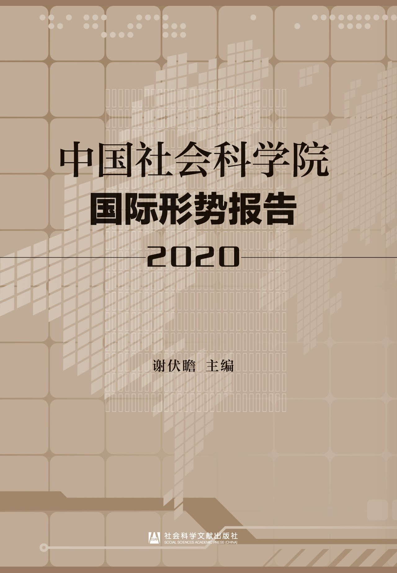 中国社会科学院国际形