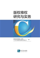 版权维权研究与实务