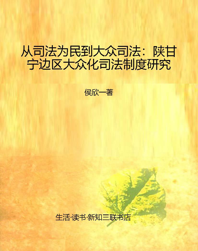 从司法为民到大众司法