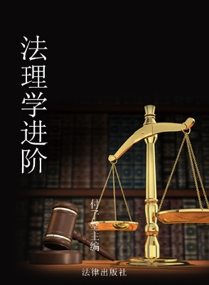 法理学进阶