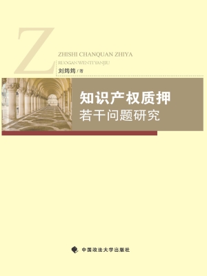 知识产权质押若干问题