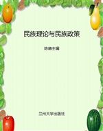 民族理论与民族政策