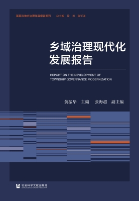 乡域治理现代化发展报