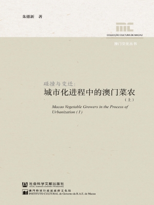 碰撞与变迁：城市化进程