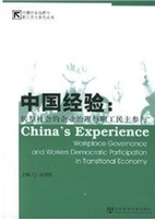 中国经验：转型社会的企