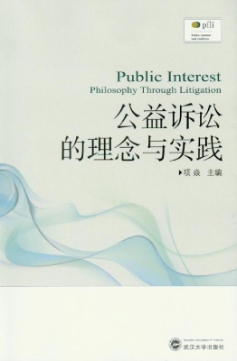 公益诉讼的理念与实践
