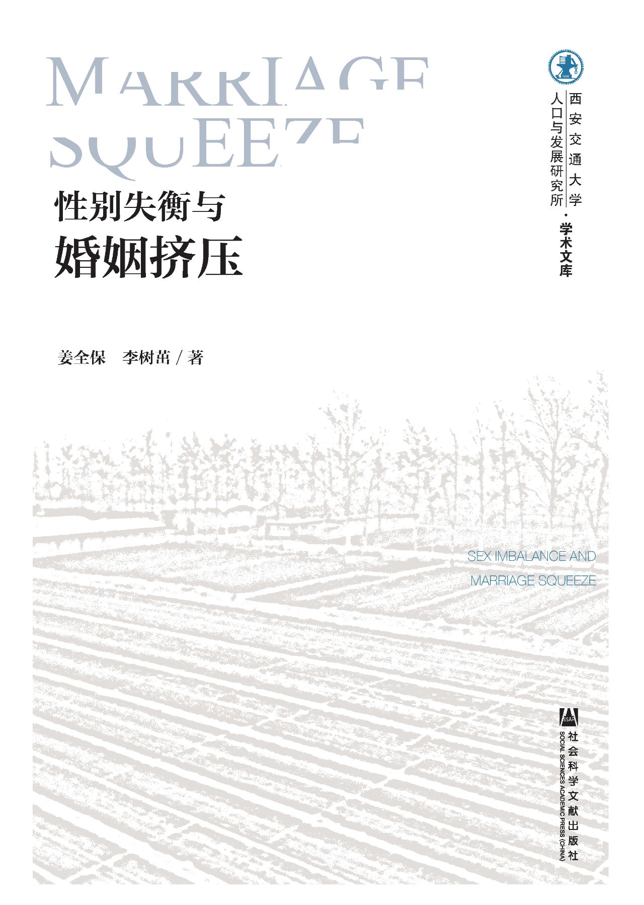 性别失衡与婚姻挤压（西
