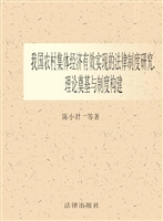 我国农村集体经济有效