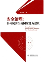安全治理