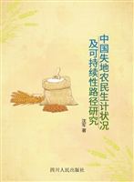 中国失地农民生计状况