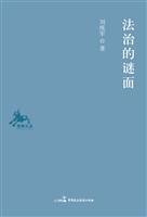 法治的谜面