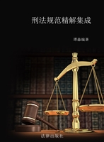 刑法规范精解集成