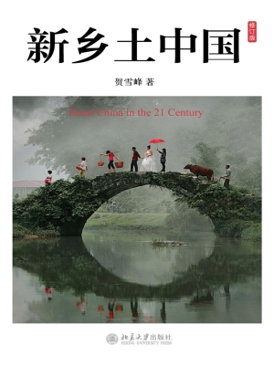 新乡土中国