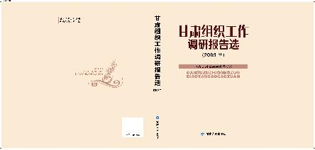 甘肃组织工作调研报告