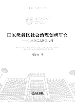 国家级新区社会治理创