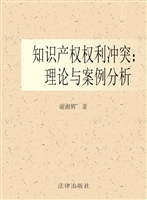 知识产权权利冲突：理论