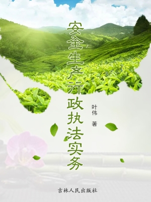 安全生产行政执法实务
