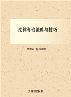 法律咨询策略与技巧