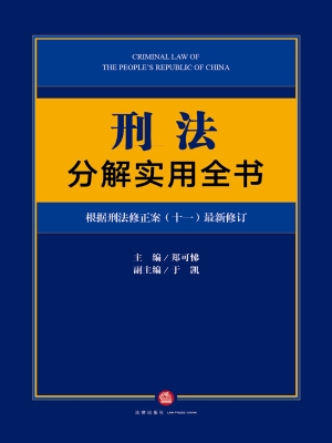 刑法分解实用全书