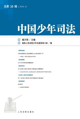 中国少年司法 2018年